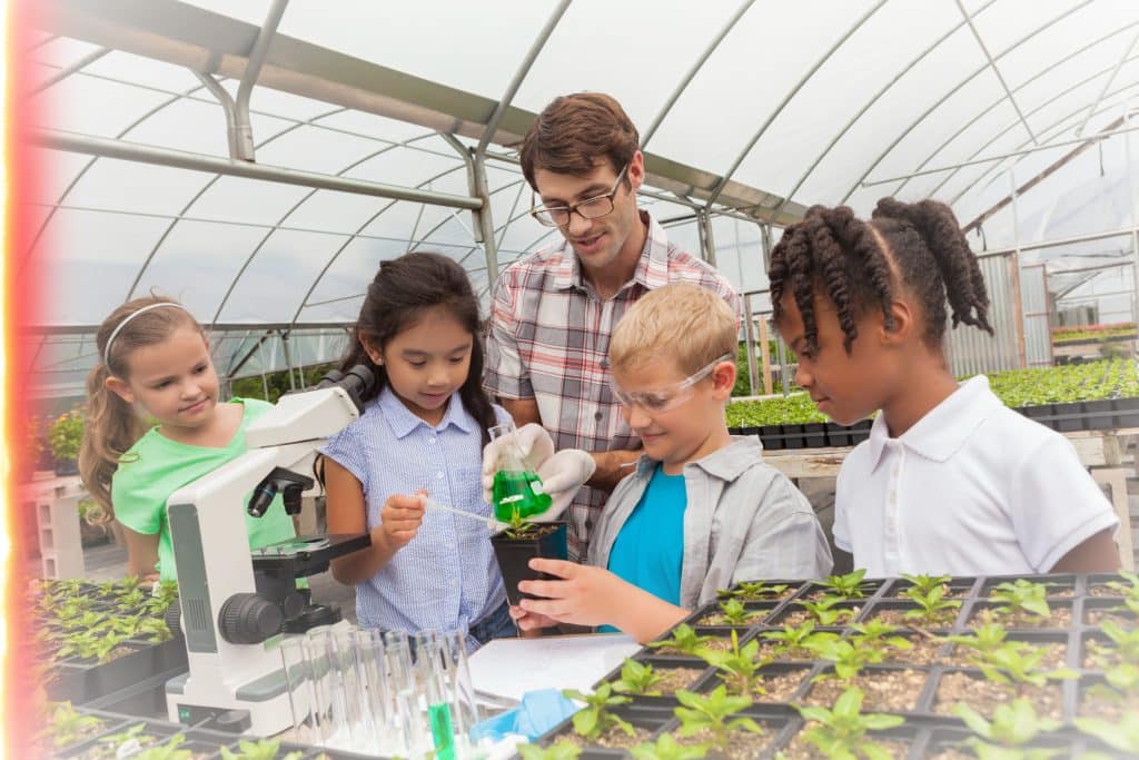 Homeschool - learning the science of growing things